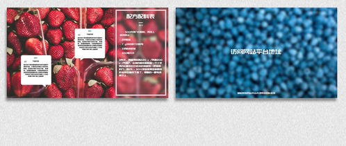 高清美食甜點(diǎn)烹飪電視節(jié)目AE模板 設(shè)計(jì)與下載全攻略